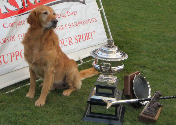 2006 IGL retriever champion, Marcus Maybe Wadesmill